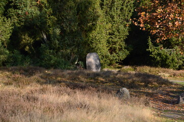 Herbst in der Tietlinger Heide, Niedersachsen