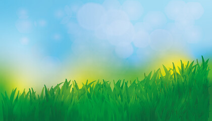 Obraz premium Eine Wiese im Frühling mit blauem Himmel.