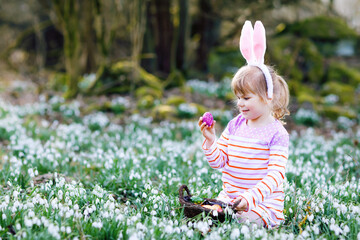Little girl with Easter bunny ears making egg hunt in spring forest on sunny day, outdoors. Cute happy child with lots of snowdrop flowers and colored eggs. Springtime, christian holiday concept.