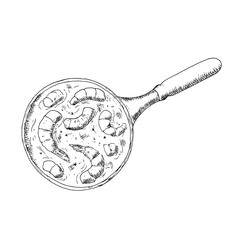 Shrimps in sauce in a pan. Vector illustration. Isolated object on a white.