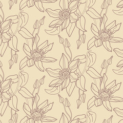 Clematis vector Seamless flower pattern in trend pastel color. Spring and summer pattern for wrapping paper decorating textiles, packaging, wallpaper.