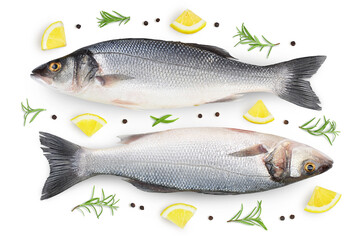 Sea bass fich isolated on white background with clipping path. Top view. Flat lay