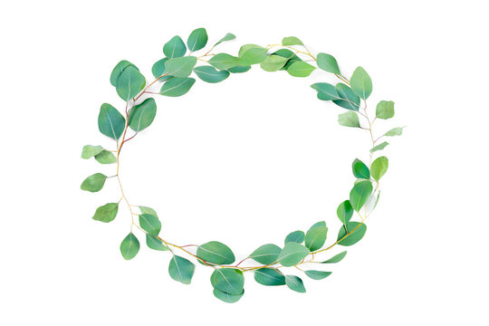 Floral oval frame, eucalyptus leaves on white background. Wreath made of eucalyptus branches. Flat lay, top view with copyspace for text. Minimal botanical design