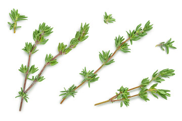fresh thyme isolated on a white background with clipping path and full depth of field, Top view. Flat lay