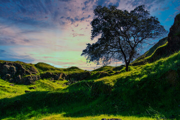 Tree On The Hill. Sunset Landscape Of A Valley With A Tree And A Dramatic Sky.