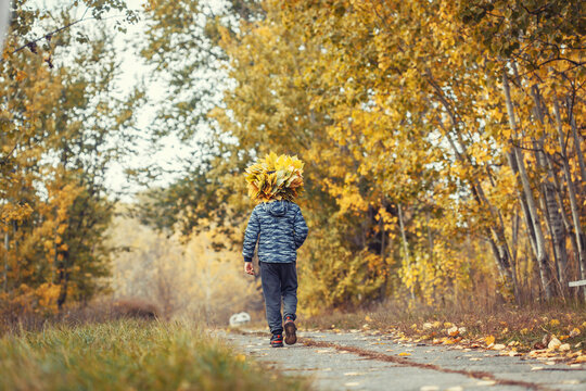 happy kid in the autumn forest wearing a wreath of yellow leaves