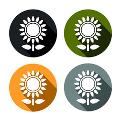 Vector image. Icon of a sunflower.