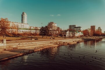 Ducks swim in the river near the embankment of the city of Yekaterinburg, Russia, shot on a bright sunny day.