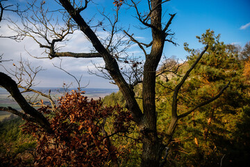 Herald's viewpoint, Autumn sandstone landscape of Bohemian Paradise, sunny day, winter at rock formation Drabske svetnicky, pine branches, Hiking Golden Trail of Bohemian Paradise, Czech Republic