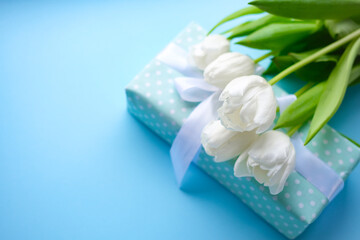 Present and flowers white tulips on blue background.women day. Mother day .Spring flowers.Gift with white ribbon.
