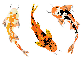 set of fish. Vector illustration, cartoon. Design elements 
