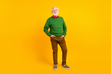 Fototapeta premium Full length photo of positive charming age gentleman wear sweater bowtie spectacles smiling isolated yellow color background
