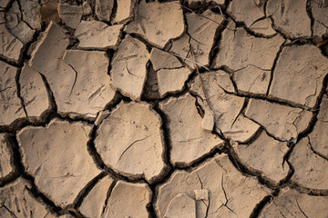 dry cracked earth