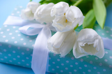 Naklejka na ściany i meble Present and flowers white tulips on blue background.women day. Mother day .Spring flowers.Gift with white ribbon.