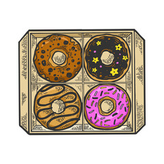 Donut in box color sketch engraving vector illustration. Scratch board style imitation. Black and white hand drawn image.