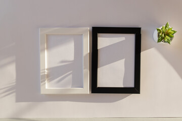  MockUp. Black and white frames with small flower pot on a textured white paper background. Natural light casts a shadow from the plants.