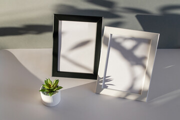  MockUp. Black and white frames with small flower pot on a textured white paper background. Natural light casts a shadow from the plants.