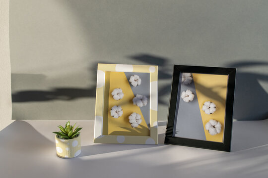 Dark flat lay. Black and yellow frames with cotton flowers photos and small flower pot near on a textured white paper background. Natural light casts a shadow from the plants.
