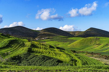 north landscape - Tunisia 