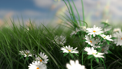 3D illustration of White Flowers on green grass on a sunny afternoon