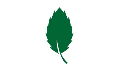 green leaf icon logo