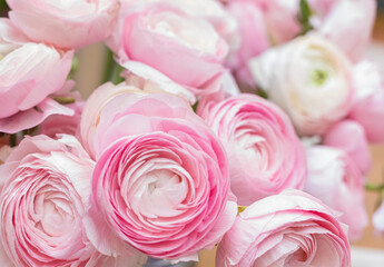 The background of ranunculus colors is gently pink. A riotous peony-shaped rose bouquet
