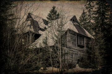 Old wooden mysterious house in the forest. Witch's home