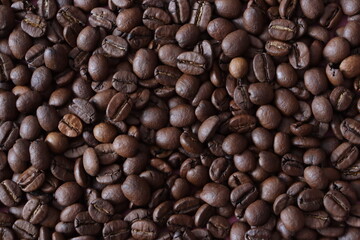 coffee beans background
