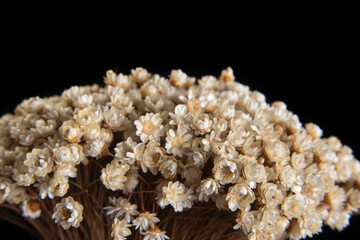 Bouquet of mini dried flowers low key portrait, black background, selective focus.