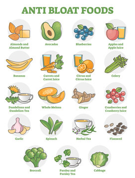 Anti bloat foods collection with labeled food products examples outline set
