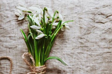 Spring flowers background. A bouquet of snowdrops on a gray linen fabric. Top view.