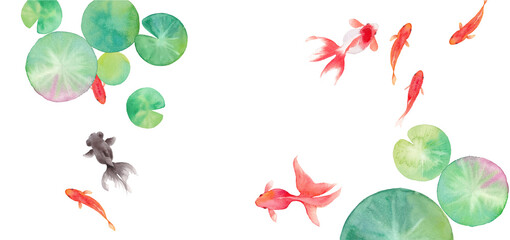 金魚と睡蓮の葉で構成した夏のバナー背景。水彩イラストのトレースベクター。レイアウト変更可能。 - obrazy, fototapety, plakaty