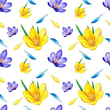 Hand drawn watercolor seamless floral pattern with yellow orange ochre violet purple crocus saffron flowers 3021