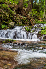 Mountain stream with small cascades and trees around