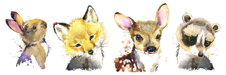 Fototapety  Watercolor set of forest isolated cute baby fox, deer, raccoon and rabbit animal. woodland illustration.
