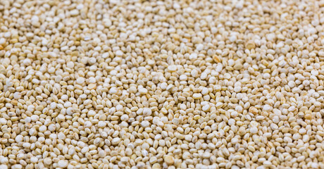 Selective focus, quinoa background, healthy vegetarian food.
