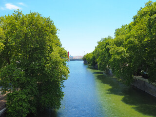 Fototapeta na wymiar Wide green river with lush green trees growing on either side of the embankments and clear blue skies above them