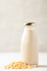 Pine milk in a bottle and pine nuts on the table. Dairy free alternative product