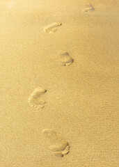 Fototapeta na wymiar Human barefoot footprints in fine yellow sand.