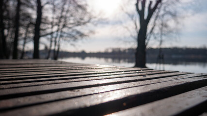 Obraz premium lake in spring