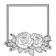 Borders of rose flowers, branches and leaves. Vector isolated on white background. Coloring book for adults, elements for packaging design of cosmetics, medicine, tea, wedding invitetion and cards