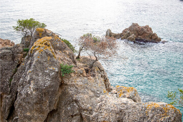Calella de Palafrugell El Golfet
Costa Brava
