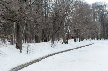 Naklejka premium Panoramic views of the frozen pond, embankment and trees. Winter landscape.