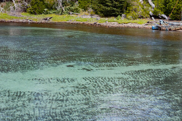 Bariloche, Patagonia