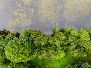 Beautiful aerial forest scene in summer. Green trees and river on summer day. City park scenery in Vilnius, Lithuania.
