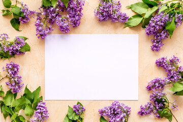 Border of spring lilac flowers. Flat lay, top view