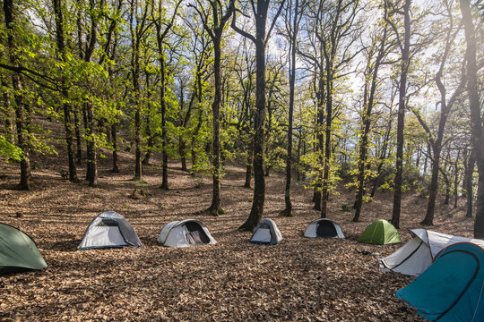 Camping in forest - Ain Draham - Tunisia 