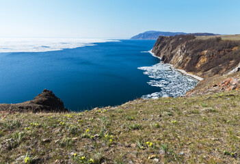 Fototapeta premium Spring landscape of Siberian Baikal Lake with melting white ice floes on blue water and blooming wild yellow irises on the sunny slope of Olkhon Island in May day. Natural spring background