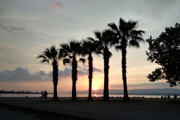 Palms and sunset on the beach