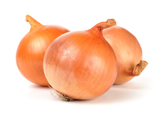 onion isolated on white background